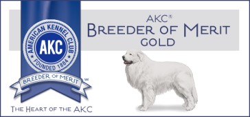 American Kennel Club Breeder of Merit Gold