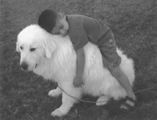 Great Pyrenees Tally